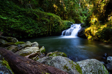 Stunning powerful waterfall spotted while hiking the Canungra Creek Circuit trail, Lamington...