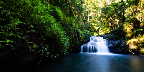 Stunning powerful waterfall spotted while hiking the Canungra Creek Circuit trail, Lamington (O'Reilly's) National Park, Gold Coast, Queensland, Australia
