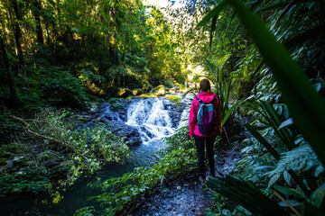 Obraz premium Girl in a pink jacket sits and admires unique, beautiful waterfall on Canungra Creek Circuit trail, Lamington National Park (O'Reilly's), Gold Coast, Queensland, Australia