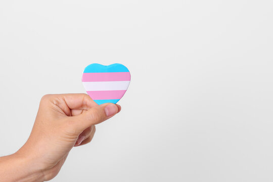 Transgender Day and LGBT pride month, LGBTQ+ or LGBTQIA+ concept. hand holding blue, pink and white heart shape for Lesbian, Gay, Bisexual, Transgender, Queer and Pansexual community - Powered by Adobe
