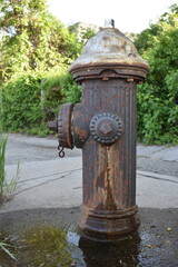 Rusty Old Fire Hydrant Leaking Water in New York City
