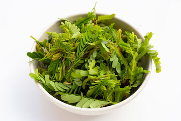 Young tamarind leaves on white background.