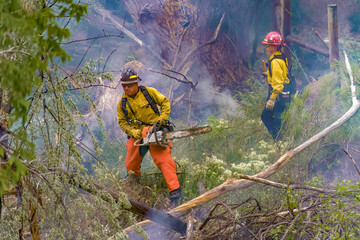 Wildland firefighters engaged in suppression operations at a vegetation fire