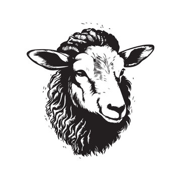 lamb, vintage logo line art concept black and white color, hand drawn illustration
