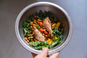 hand holding dog bowl with food