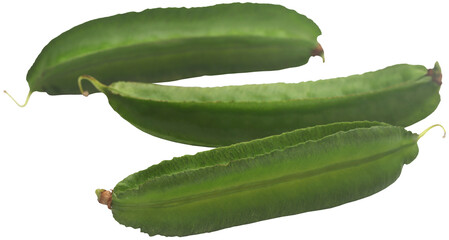 Winged bean