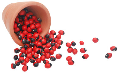 Abrus precatorius or Indian liquorice Seeds