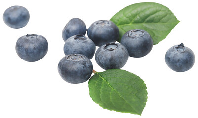 Obraz na płótnie Canvas Fresh blueberries