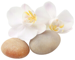 Obraz na płótnie Canvas Spa stone with orchid flower