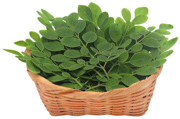 Edible Moringa leaves