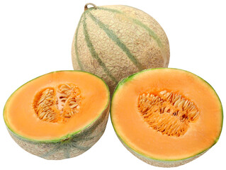 Cantaloupe or rockmelon