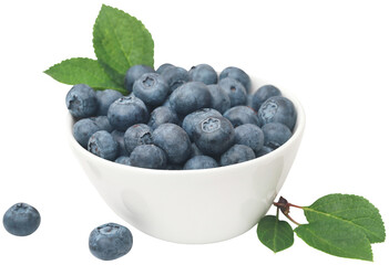 Fresh blueberries
