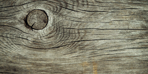 Grey wooden background. Close-up texture of an old gray plank. Mock up for design, copy space.