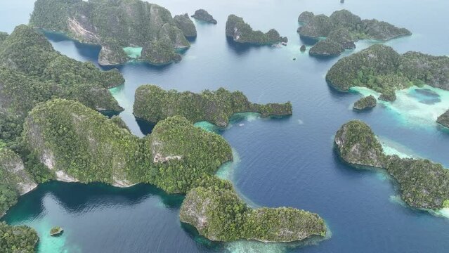 Rugged, forest-covered limestone islands, surrounded by coral reefs, rise from Raja Ampat's dramatic seascape. This remote part of Indonesia is known for its incredibly high marine biodiversity.