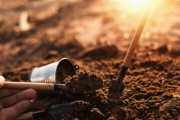 Farmers use shovels to till the soil in agriculture, loose soil.