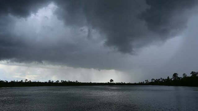 Time lapse of storm clouds forming in unsettled atmosphere above Pine Glades Lake in Everglades National Park, Florida 4K.