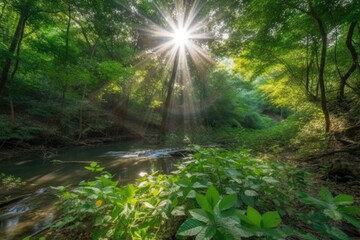 Fototapeta na wymiar sunlight filtering through the trees in a forest Generative AI