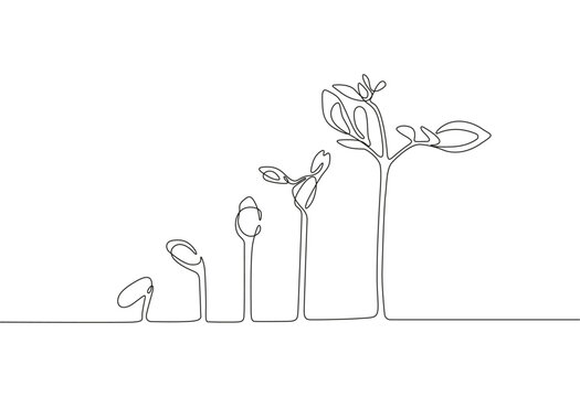 Plant growing continuous line drawing one hand drawn minimalist design- Pro vector.