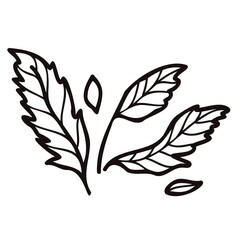 Hand Drawn leaves and twigs from the top view in doodle style