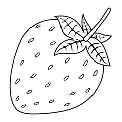strawberry line vector illustration