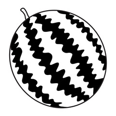 watermelon line vector illustration