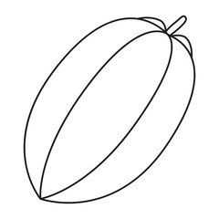star fruit line vector illustration