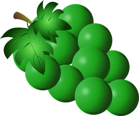Green grapes illustration 