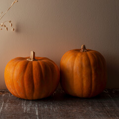 Two Pumpkins on Wooden Rural Table. Autumn Fall, Halloween and  Thanksgiving Thematic Wallpaper Template.