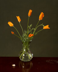 Wild Splendor: Orange Poppies in a Glass Vase on a Dark Background