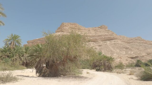Khor Senaq Oasis, Wadi Al Nakheel, Oman