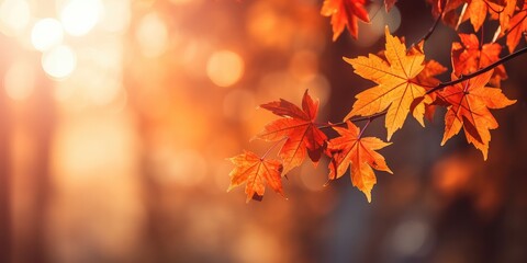 Naklejka na ściany i meble autumn leaves and tree landscape with generative ai