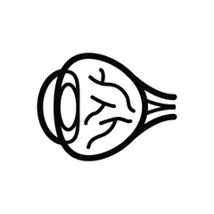 Eyeball vector icon