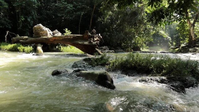 rio natural rocoso con agua fluyendo y mucha vegetaci&oacute;n alrededor