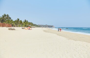 Experiencing a baby turtle release in Puerto Escondido, Oaxaca, Mexico
