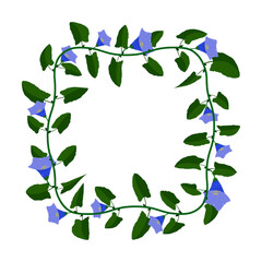 Obraz premium Green blooming liana plant frame with blue flowers. Cartoon square border for greeting card decorating, invitation cards. Colored vector isolated on white background