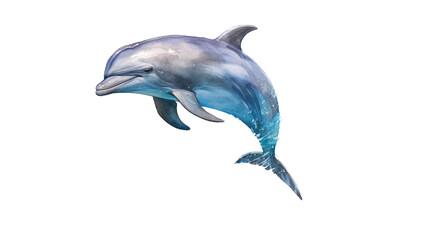 a Bottlenose Dolphin, jumping, Aquatic-themed, square format, photorealistic illustrations on a transparent background cutout in PNG. generative ai