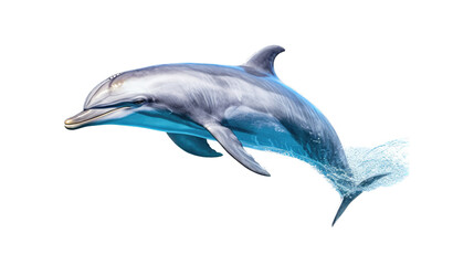 a Bottlenose Dolphin, jumping, Aquatic-themed, square format, photorealistic illustrations on a transparent background cutout in PNG. generative ai