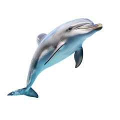 an isolated Dolphin jumping and swimming, Aquatic-themed, photorealistic illustration on a transparent background cutout in PNG. Generative AI