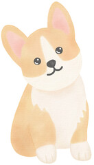 Dog watercolor Hand-drawing PNG