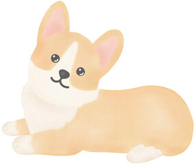 Dog watercolor Hand-drawing PNG
