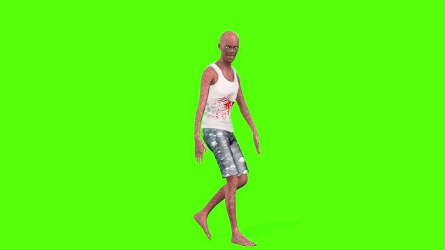 Zombie moving around Green Screen Animation 3D Rendering.
