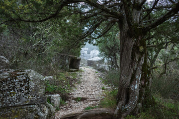Ruined gymnasium and baths building in Termessos. Ruined ancient city in Antalya province, Turkey.