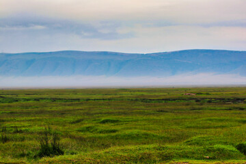 Fototapeta premium Ngorongoro Crater walls and floor at Ngorongoro crater, Tanzania