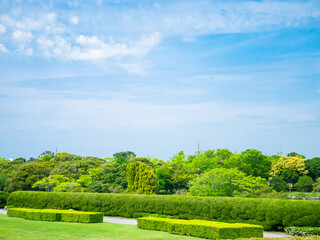 芝生と樹木の緑が美しい公園の景色