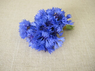 A small flower bouquet with cornflowers on light farbric