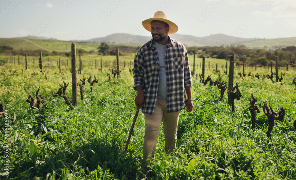 Poster Agriculture, cane and black man on farm for farming, harvest or growth in countryside mockup. Walking stick, field and African male farmer with mature crops, vegetables or sustainable plants for agro