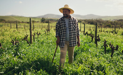 Agriculture, cane and black man on farm for farming, harvest or growth in countryside mockup....