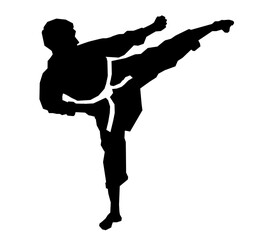 Karate kick Silhouette Vector Isolated