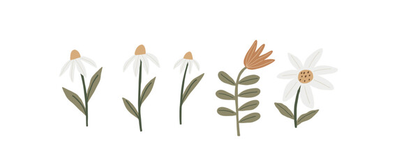 Fototapeta na wymiar Cute Simple Flowers - flat illustration in modern style. Vector illustration with flowers, leaves