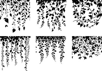 Leaves on the wall Vector set